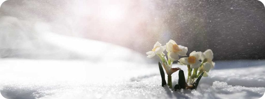 Spring Forward in Door County