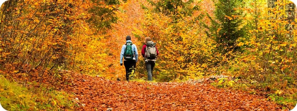 Hiking in Door County | Open Hearth Lodge