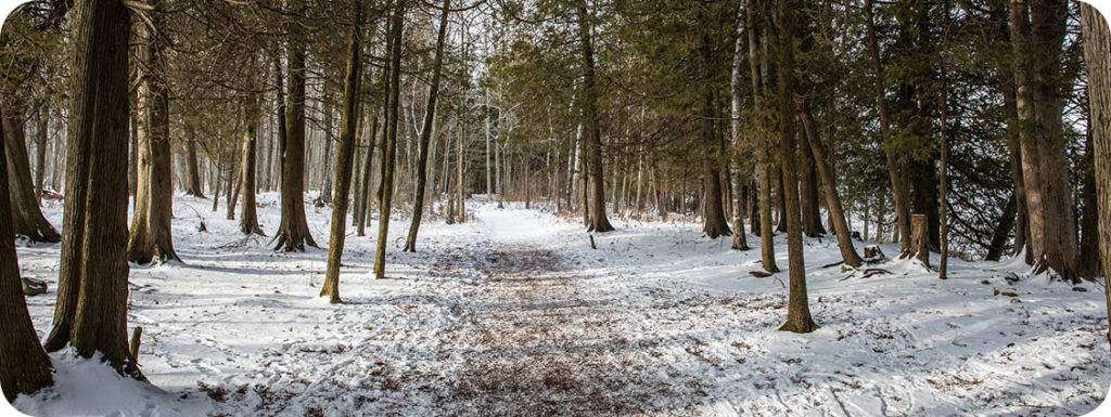 The beauty of Door County nature in Spring