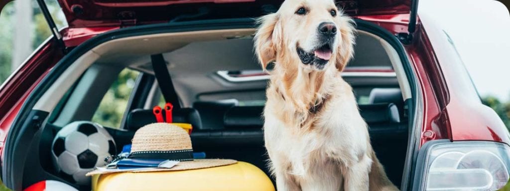 Traveling with a dog to Door County - Open Hearth Lodge