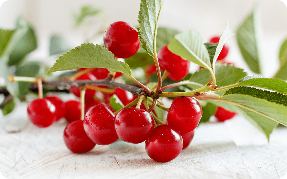 Door County Cherries