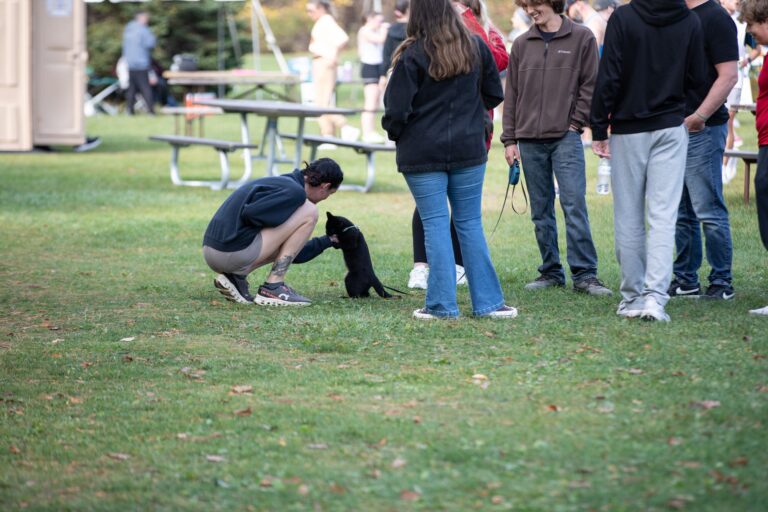A cat on a leash at Fall 50 Exchange 3 in Peninsula State Park