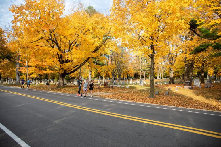 Golden maples along Bay Shore Drive on the Fall 50 home stretch