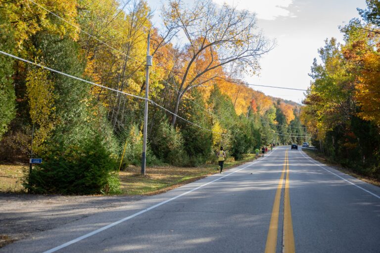 Fall color along Bay Shore Drive on Fall 50 Leg 8