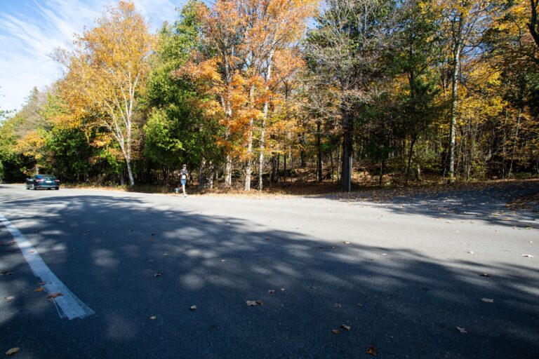 Runner on the Fall 50 route through Peninsula State Park
