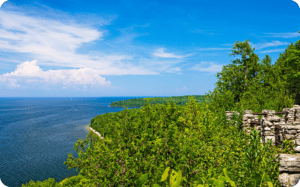 View of Lake Michigan from a wooded bluff